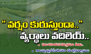 వర్షం కురుస్తుందా.. వ్యర్థాలు వదిలెయ్..!