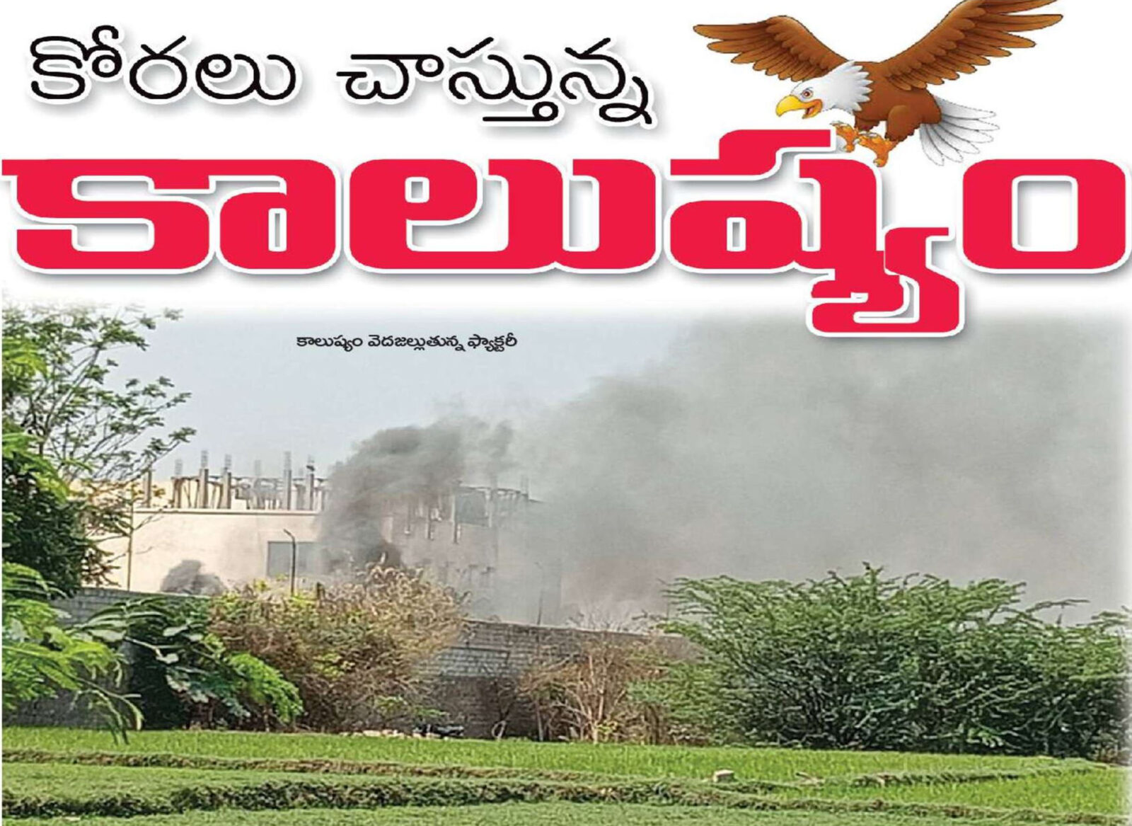 కోరలు చాస్తున్న కాలుష్యం