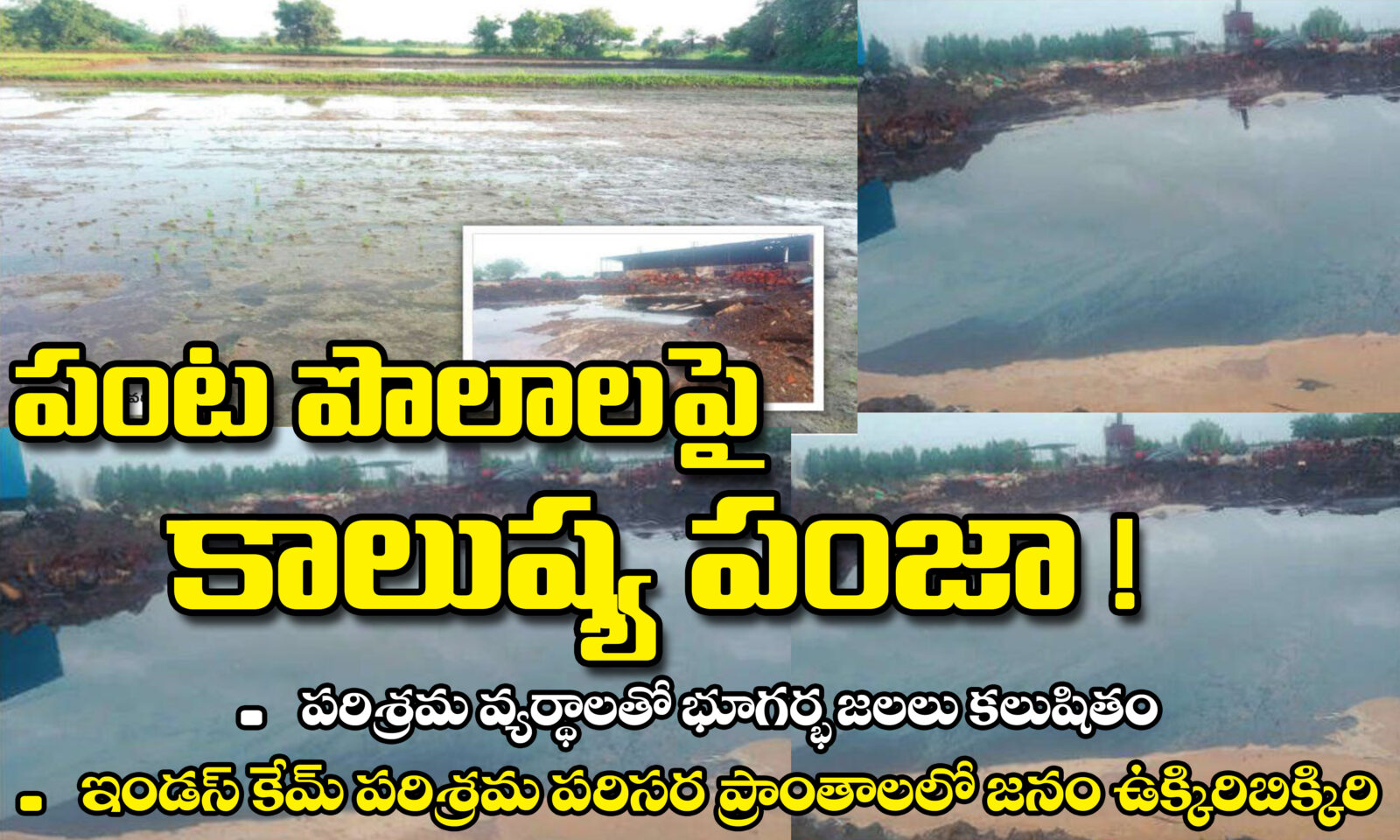 పంట పొలాలపై కాలుష్య పంజా!