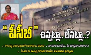 పీసీబీ ఉన్నట్లా.. లేనట్లా..?