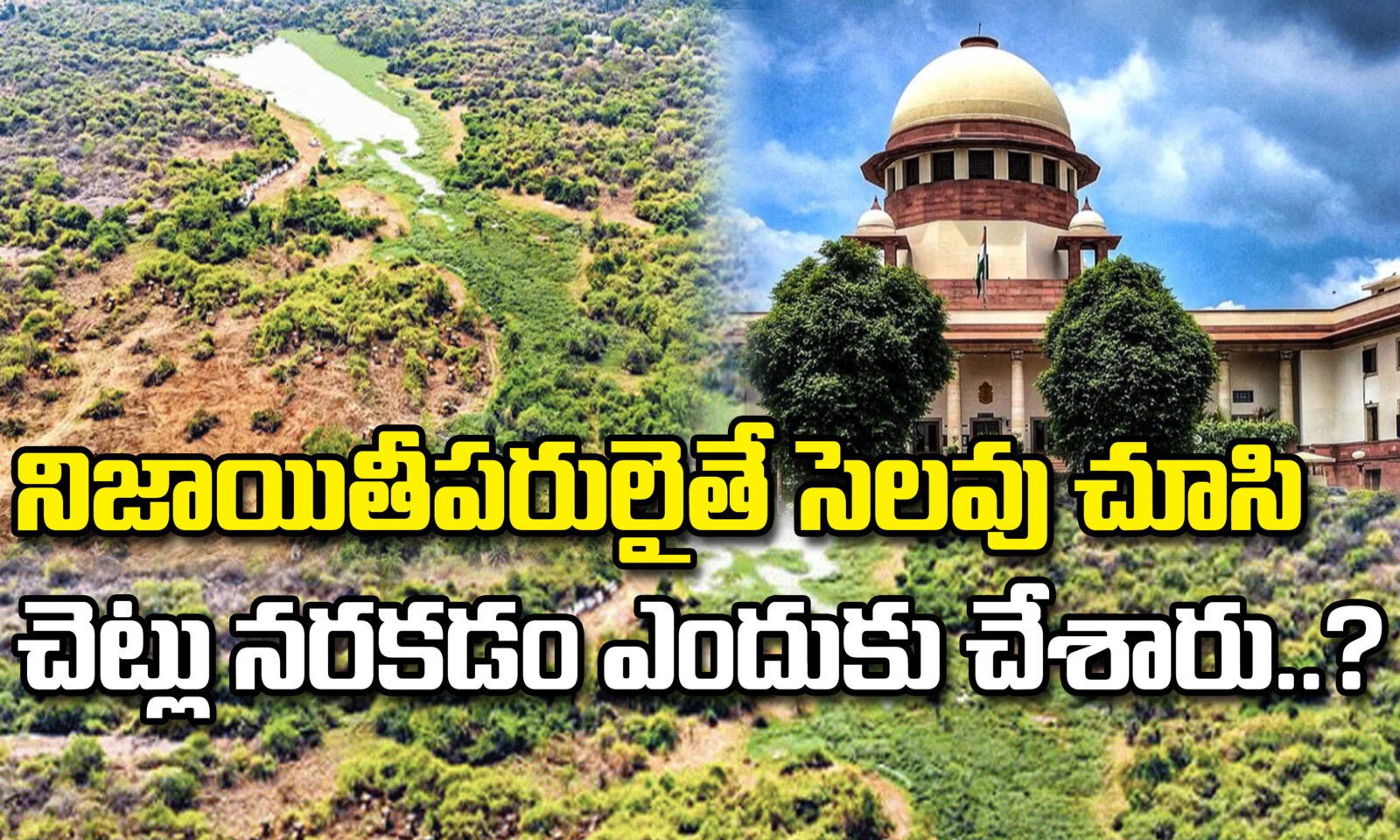నిజాయితీపరులైతే సెలవు చూసి చెట్లు నరకడం ఎందుకు చేశారు..?
