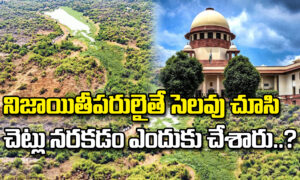 నిజాయితీపరులైతే సెలవు చూసి చెట్లు నరకడం ఎందుకు చేశారు..?