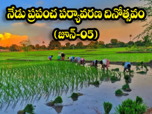నేడు ప్రపంచ పర్యావరణ దినోత్సవం, (World Environment Day – June-05)